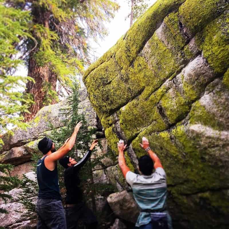 Sculpted boulders adding natural beauty to a garden