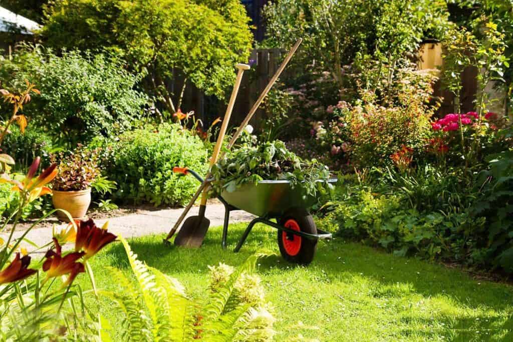 Garden Design Services in Dubai