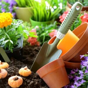 Gardening Services in Dubai