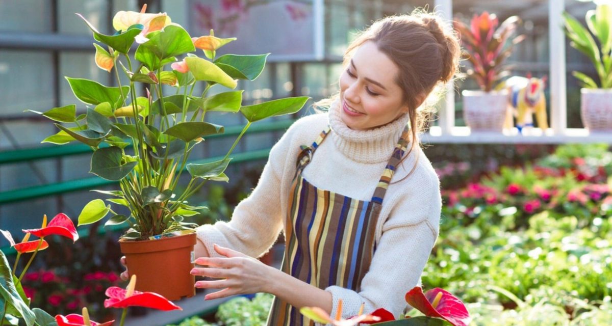 cropped-gardener.jpg